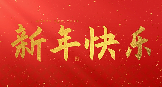yl6809永利祝各人2025新年快乐！